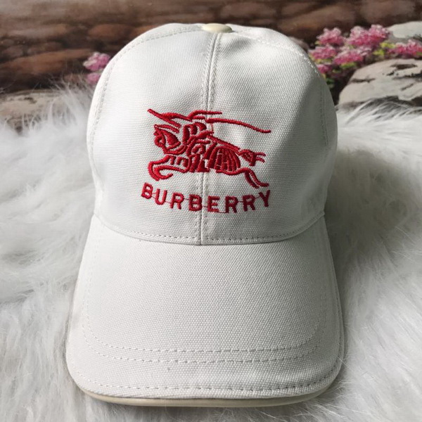 Burrerry Hats AAA-167