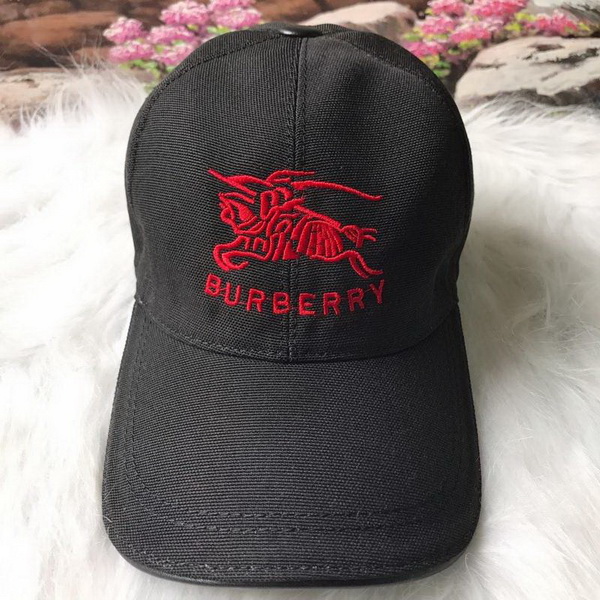 Burrerry Hats AAA-171