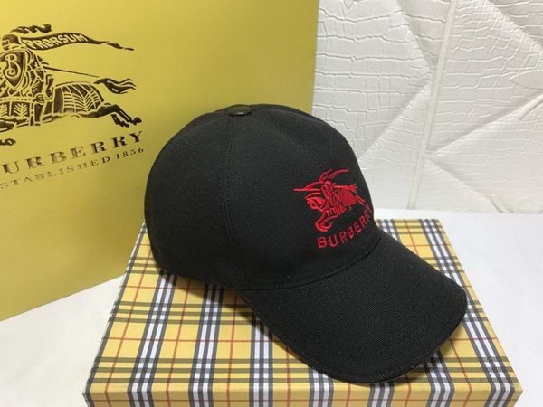 Burrerry Hats AAA-178