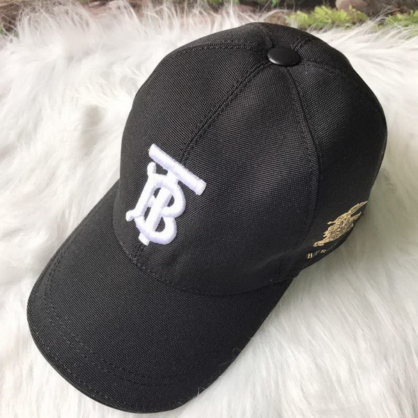 Burrerry Hats AAA-179