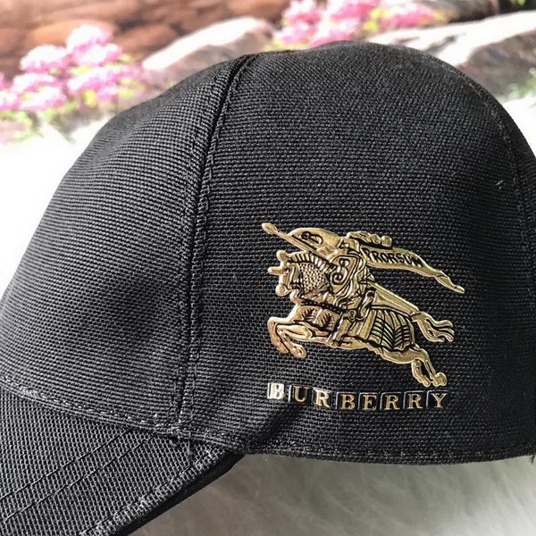 Burrerry Hats AAA-179
