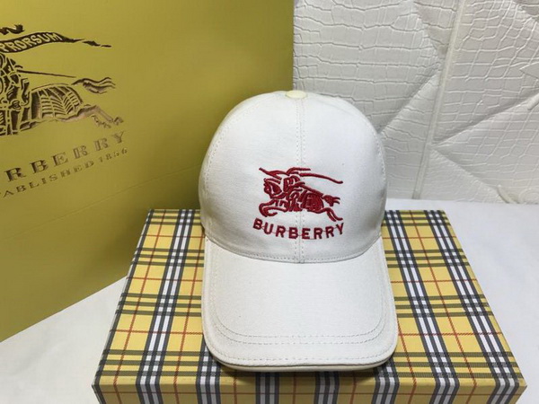 Burrerry Hats AAA-183