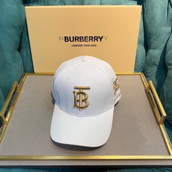 Burrerry Hats AAA-225