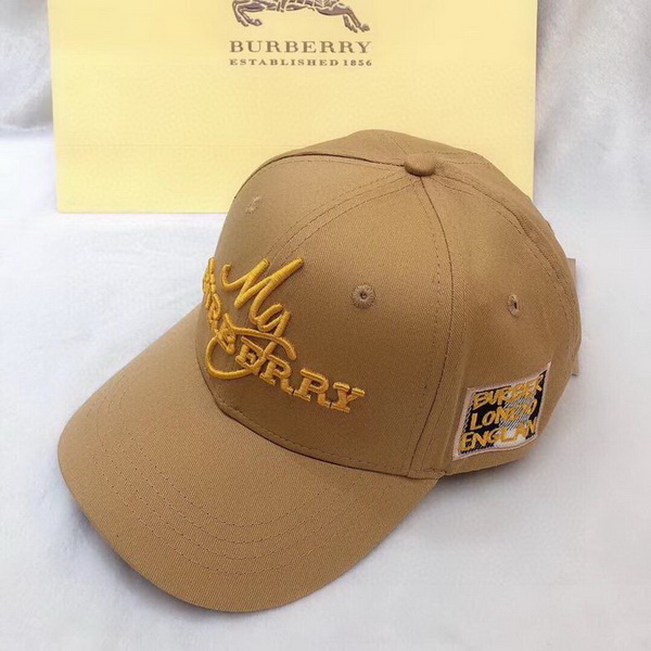 Burrerry Hats AAA-229