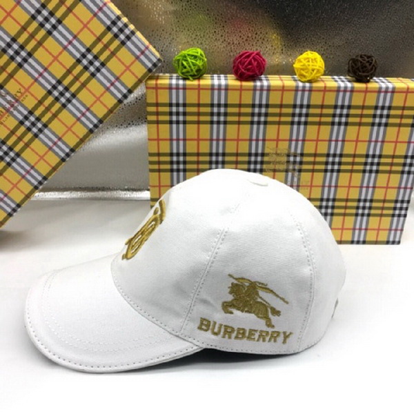 Burrerry Hats AAA-261