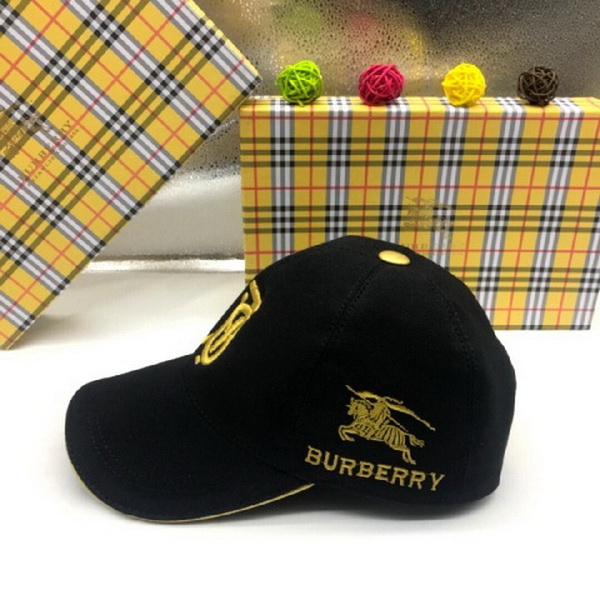 Burrerry Hats AAA-262