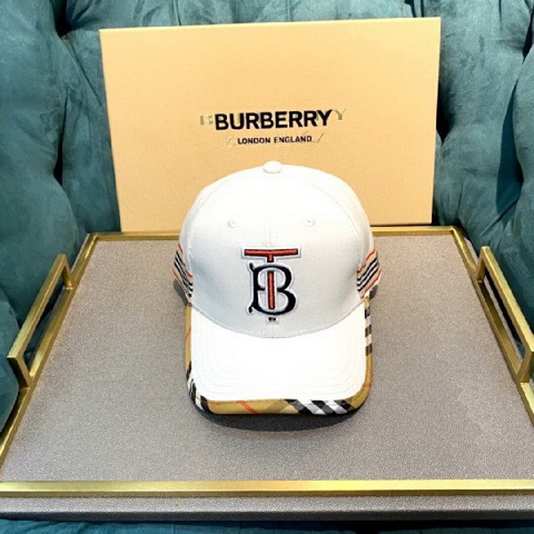 Burrerry Hats AAA-291