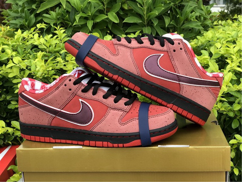 Authentic Nike Dunk Low SB Lobster Red Color
