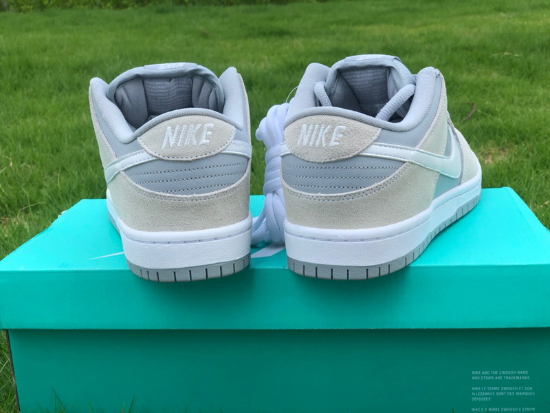 Authentic Nike Dunk SB Low TRD AR0778-110  