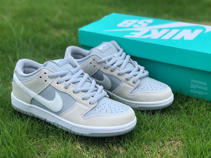 Authentic Nike Dunk SB Low TRD AR0778-110  