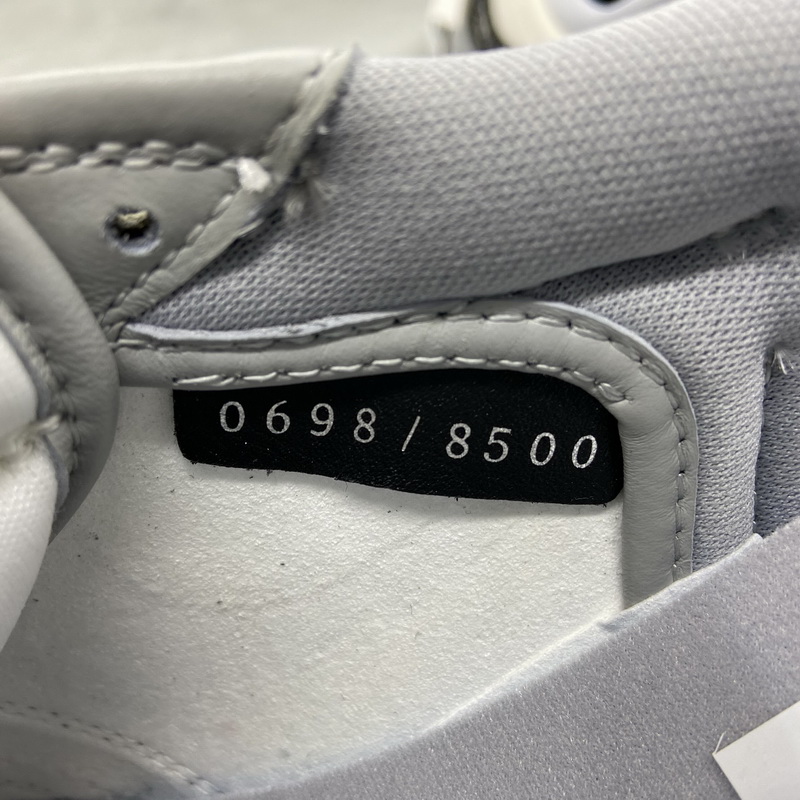 Authentic Dior x Ai Jordan 1 Low Top (with dior boxes) 